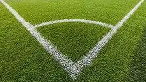 大发彩票 产品 114212 a12