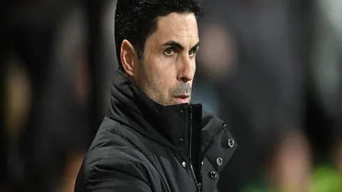 意甲博洛尼亚五连胜专家预测：期号4胜3质合分析